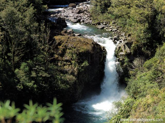 New_Zealand_139