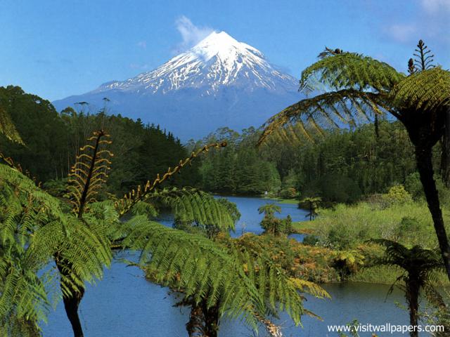 New_Zealand_143