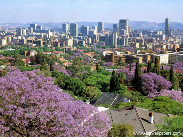 africa_067