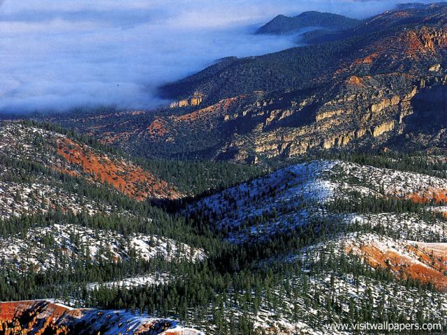 Aerial_view_275