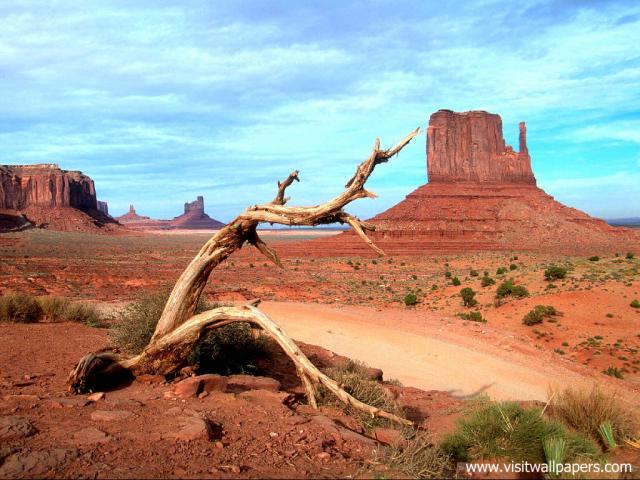 usa_006
