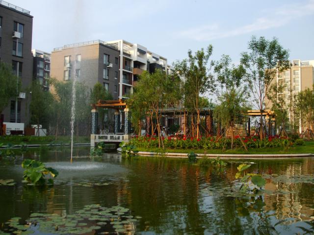 beijing2008_502