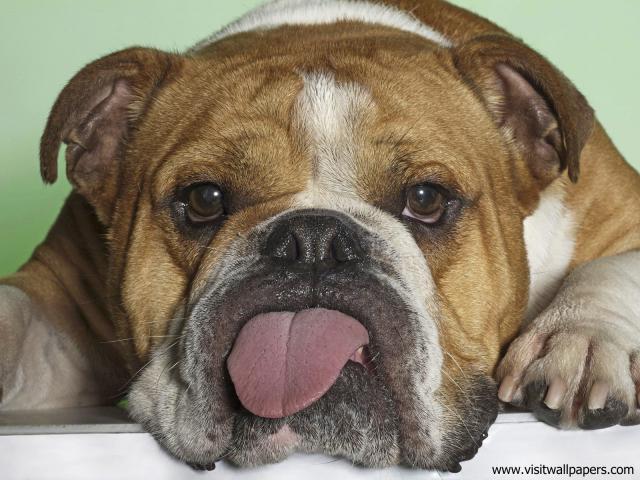 Being_Gorgeous