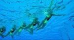athlete_swimming08
