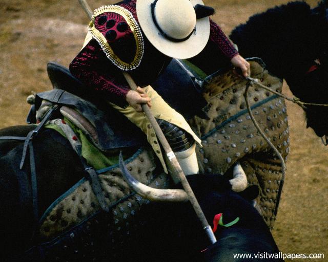 bullfight_02