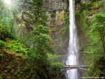 waterfalls_261