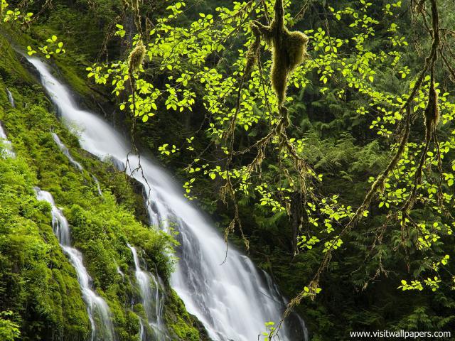 waterfalls_270