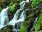 waterfalls_281