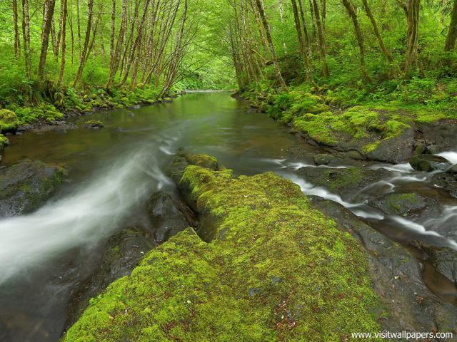 river_138