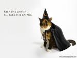 Halloween_Cat