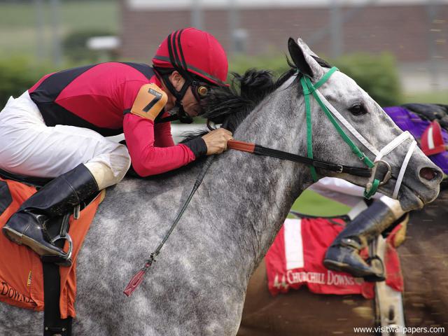 horse_racing_01