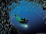 Scuba_Diving_02