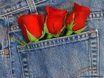 Levi_Love