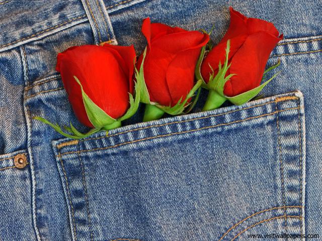 Levi_Love