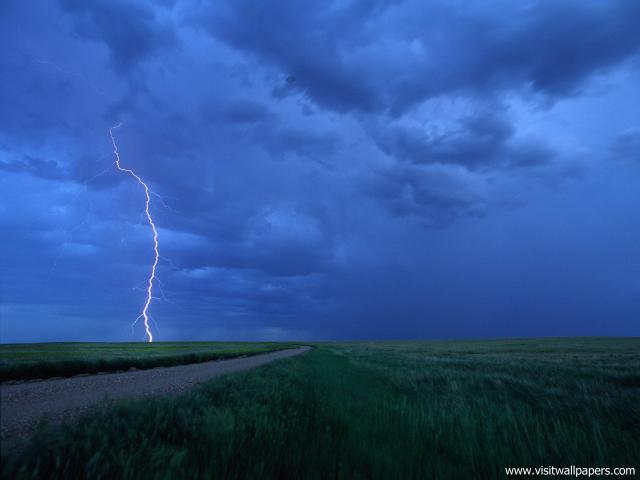 force_of_nature_54