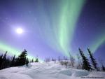 force_of_nature_56
