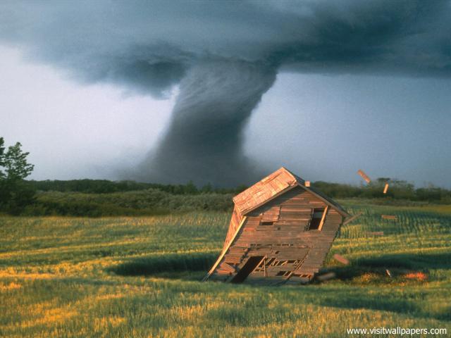 force_of_nature_59