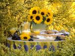 Summer_Picnic