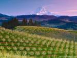 Hood_River_Oregon