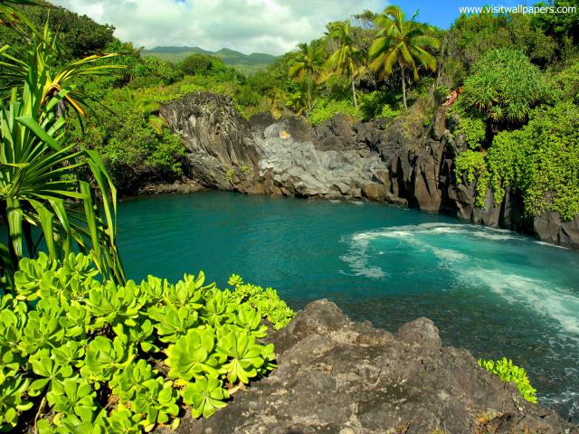 waterfalls_336