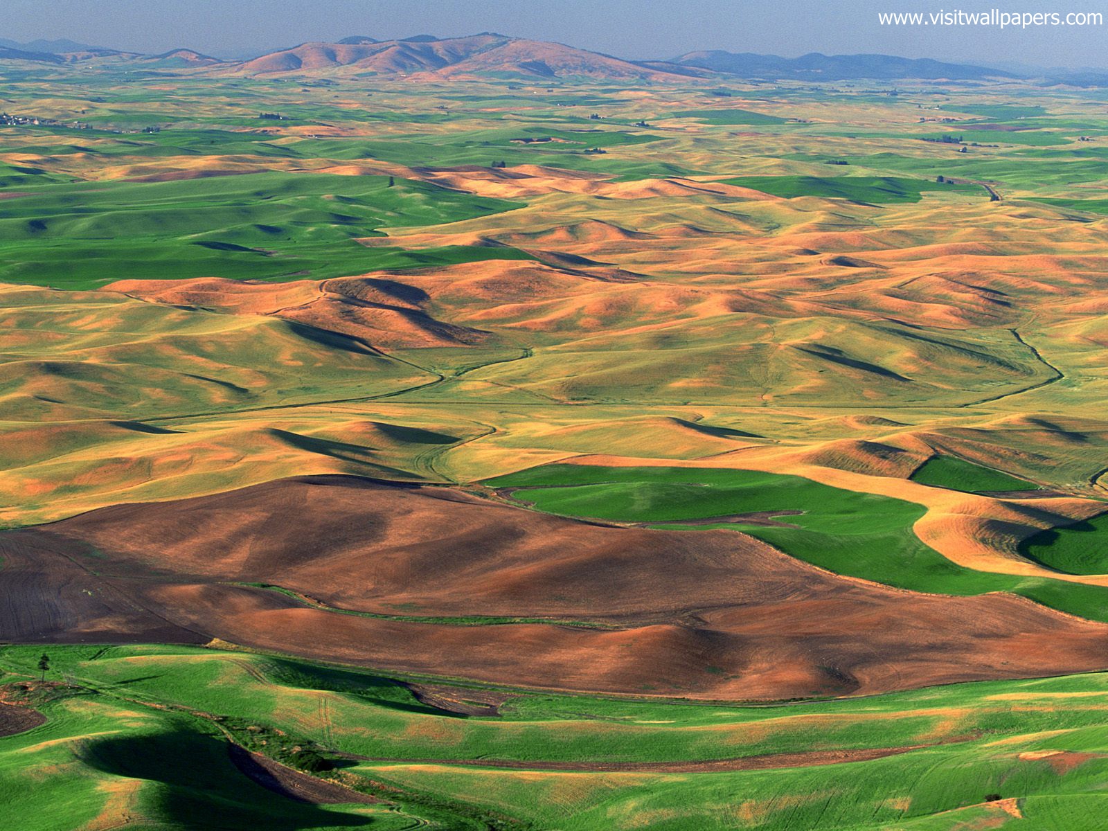 Aerial_view_290