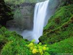 waterfalls_351