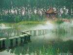 china_268