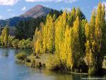 New_Zealand_168