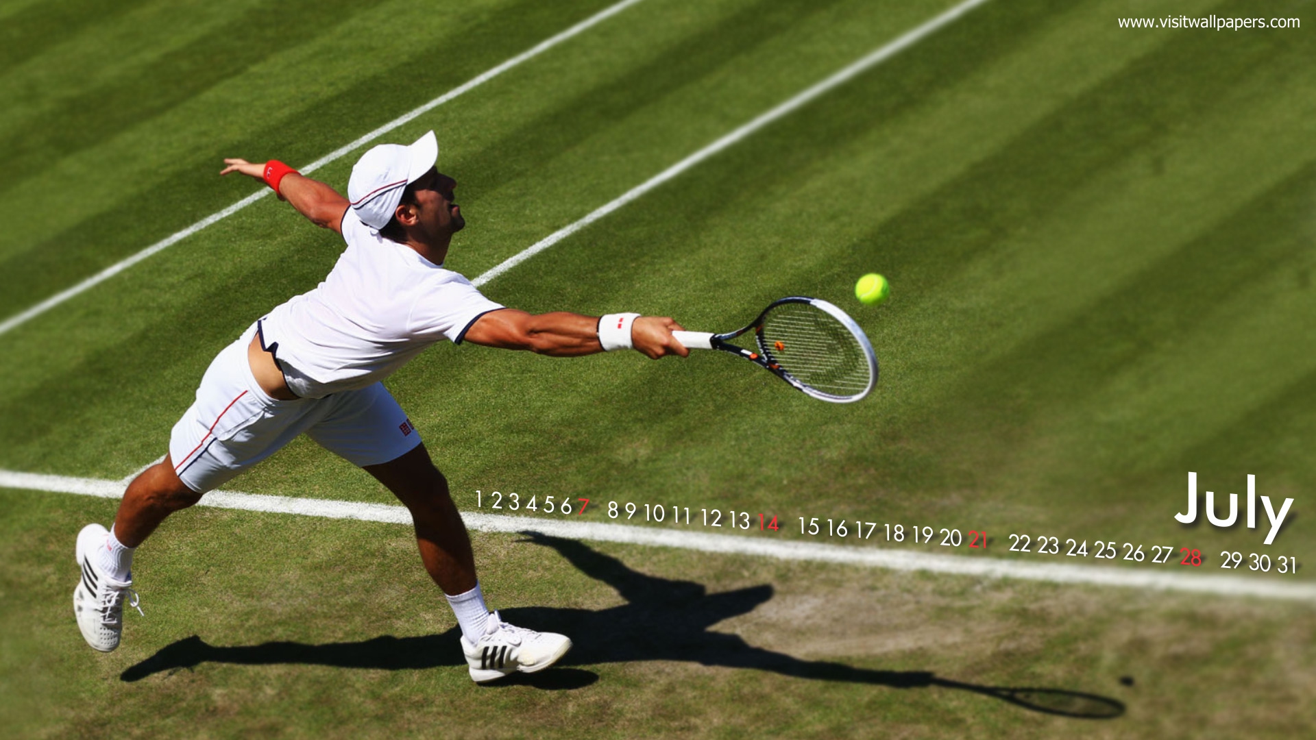 Novak_Djokovic_147