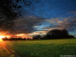 England_065