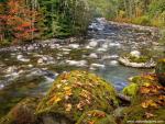river_164
