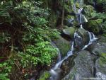 river_172