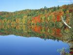 river_175