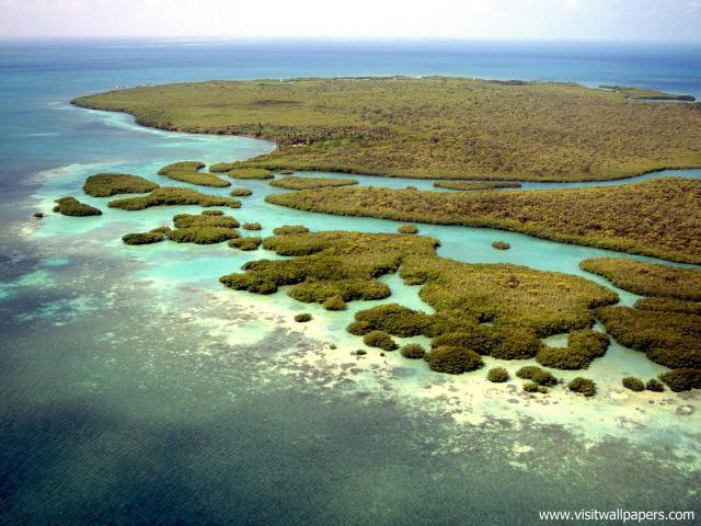 Aerial_view_310