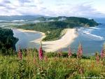 Aerial_view_318