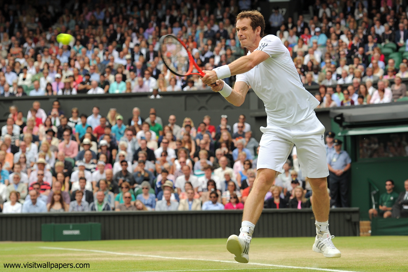 Andy_Murray_33
