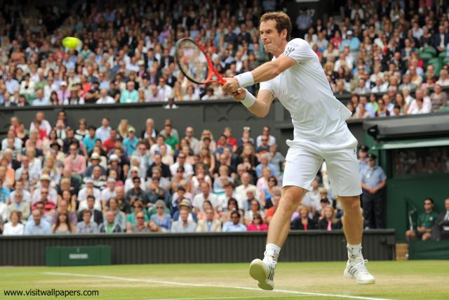 Andy_Murray_33