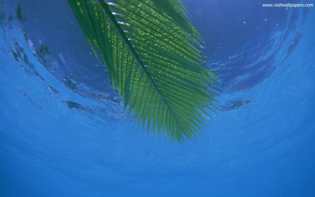 Beaches_014