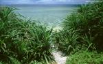 Beaches_048