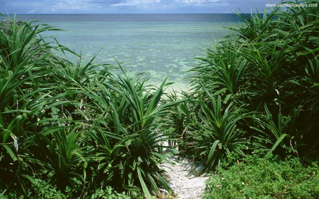 Beaches_048