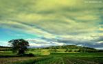 Nature_241
