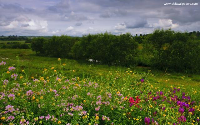 Nature_252