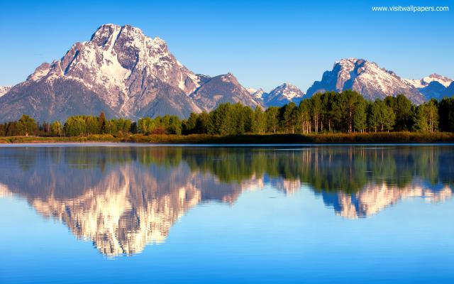 Nature_257