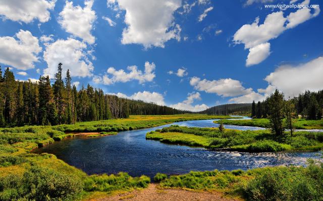 Nature_271