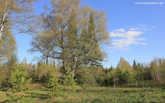 Nature_287