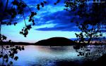 Nature_299