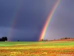 rainbow_28