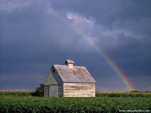 rainbow_32
