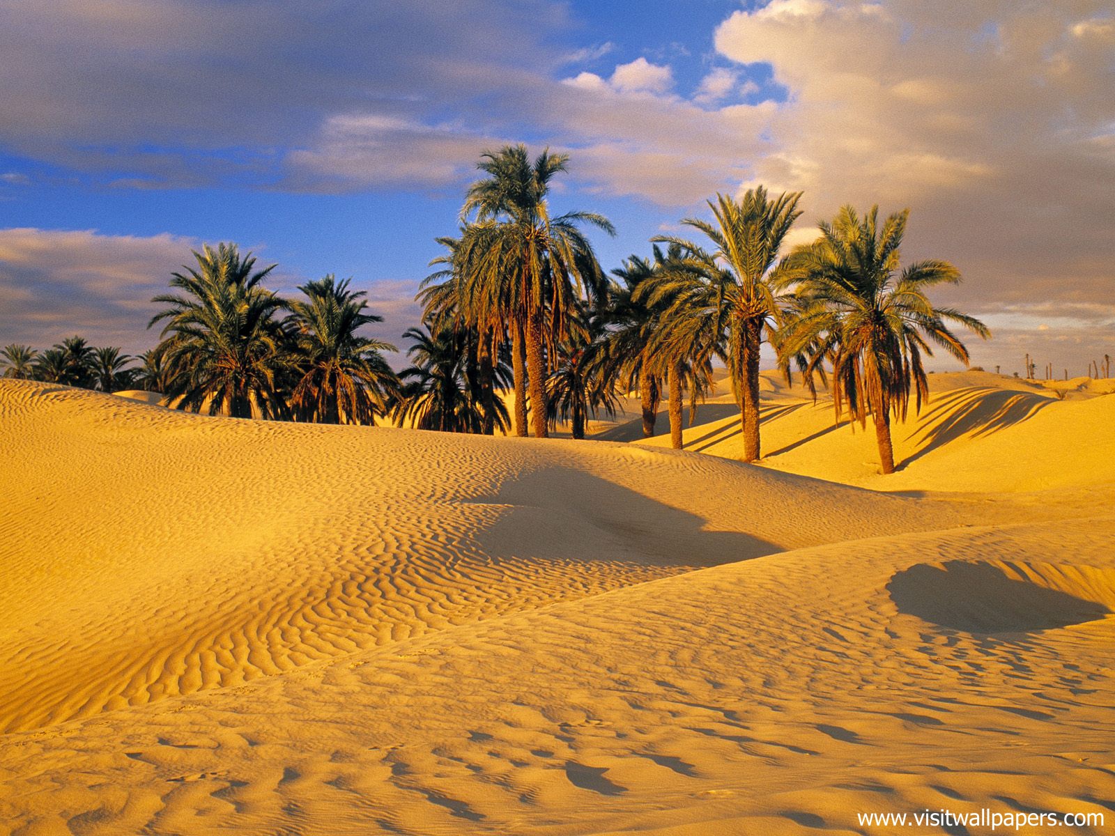 Desert_02