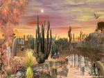 Desert_05